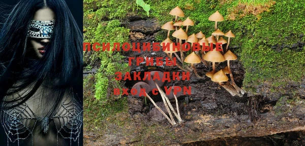 индика Алексеевка