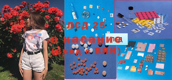 ГАЛЛЮЦИНОГЕННЫЕ ГРИБЫ Абинск